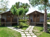 Foto #22 van Camping Las Palmeras