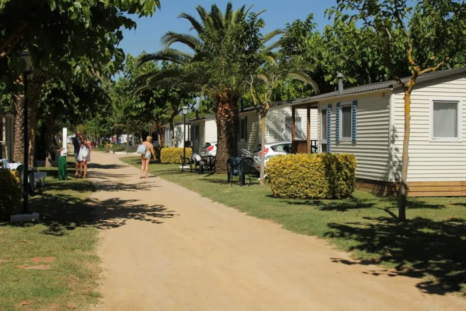 CAMPING LAS PALMERAS