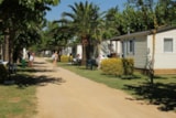 Foto #4 van Camping Las Palmeras