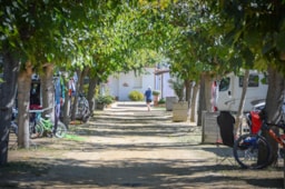 Services & amenities CAMPING LA GAVIOTA - Sant Pere Pescador
