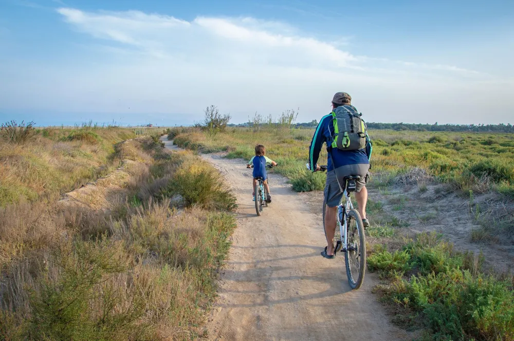 CAMPING LA GAVIOTA