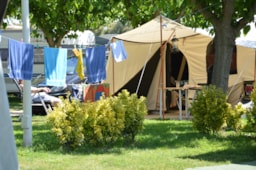 Parcela - Parcela Classic - CAMPING LA GAVIOTA