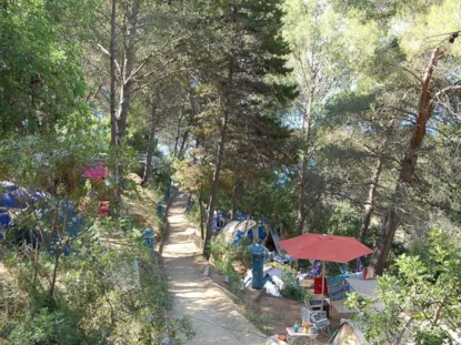 Parcela Para Tienda Doble (Acceso A Pie - Máx. 20 M²)