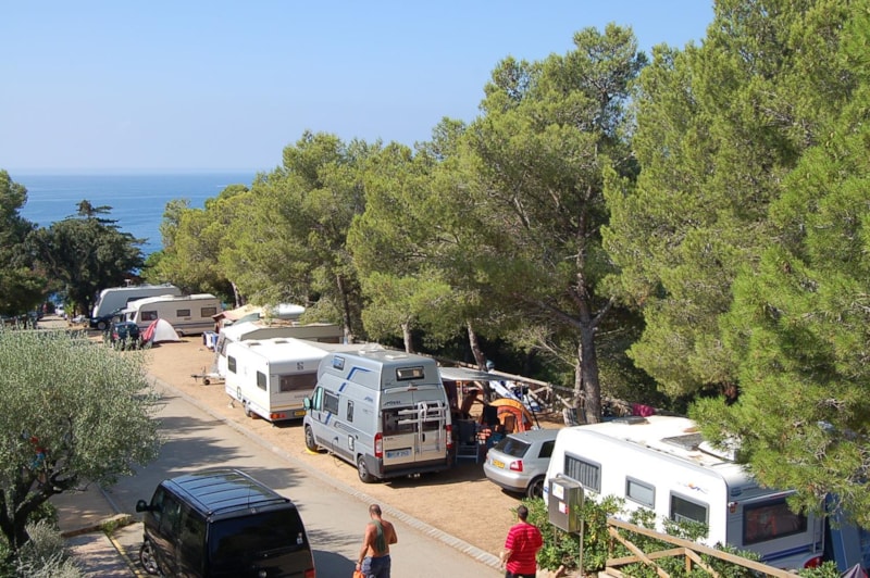 Standplaats Caravan / Camper (6-8 m long)