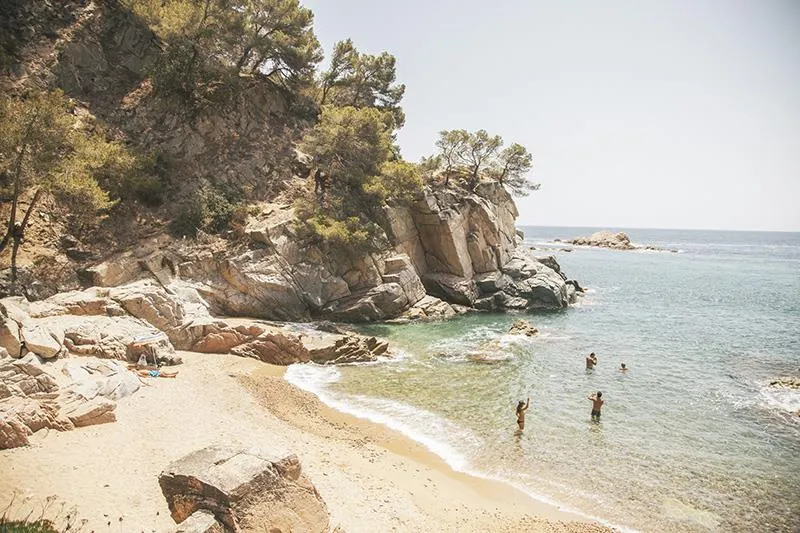 Sea Green - Cala llevado