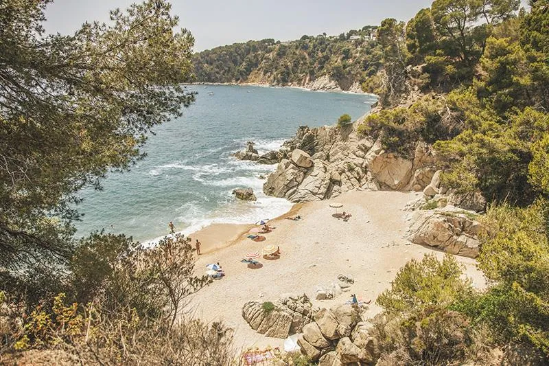 Sea Green - Cala llevado