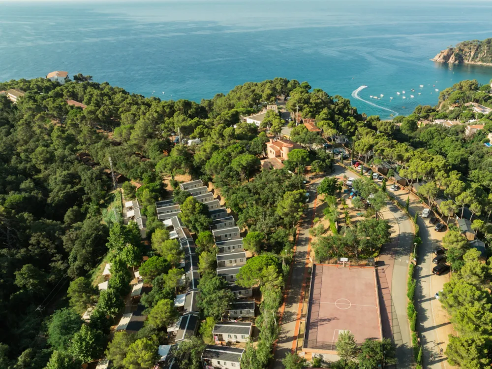 Cala llevado - Sea Green by Sunêlia