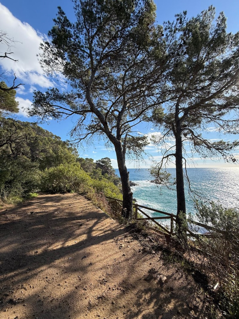 DUO-tentplaats met uitzicht op zee (te voet bereikbaar)