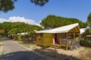 Tenda Sahari / 2 Camere Tenda Sahari / 2 Camere