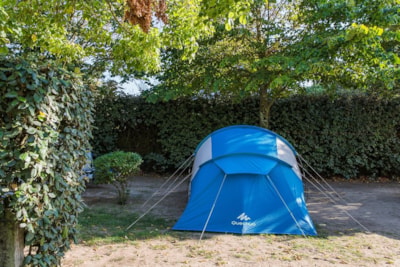 Access Pitch / 1 car / electricity — 5