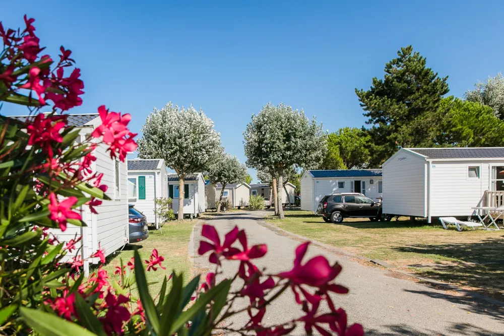 Camping Eden Villages L'Océan & Spa