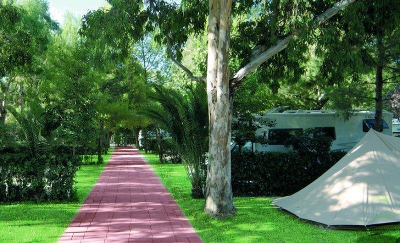 Camping Village Don Diego - Marche - Immagine n°4 Camping Village Don Diego - Marche - Immagine n°4