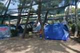 Foto #7 van Settebello Village and Camping