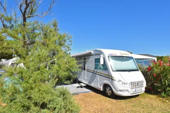 Stellplatz - Stellplatz** - Camping Sandaya Les Tamaris