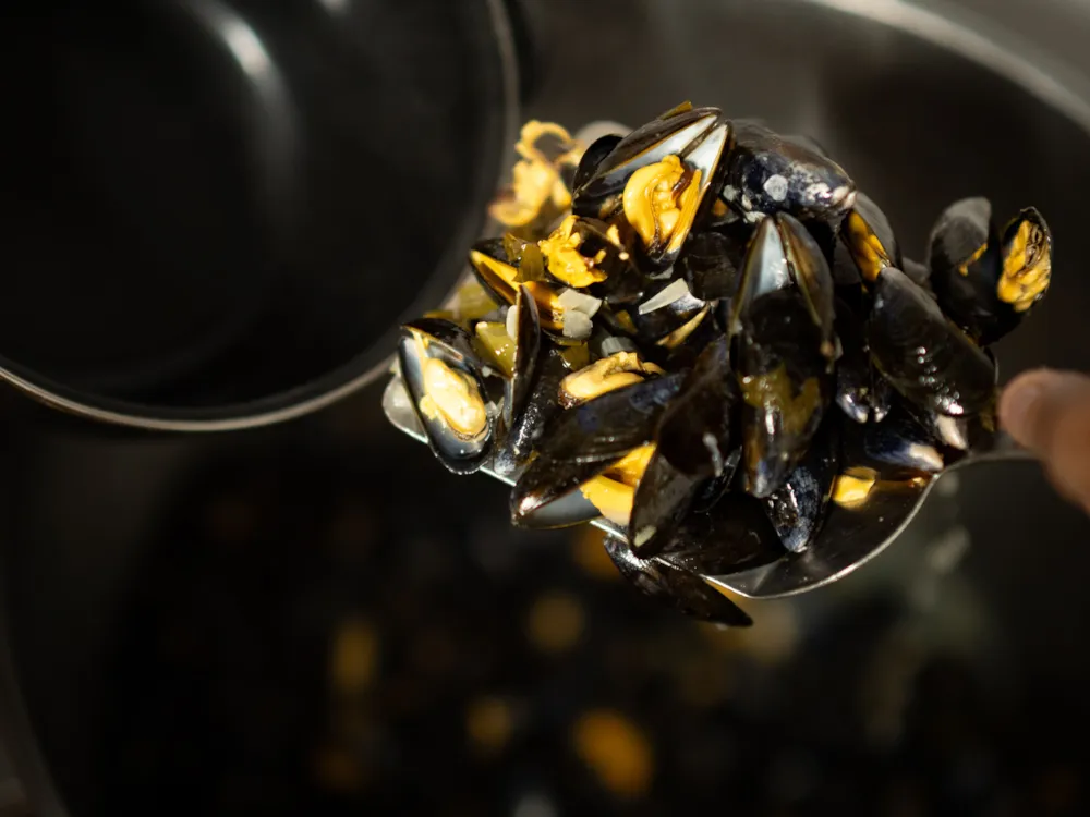 Camping Ushuaïa Villages la Colombière