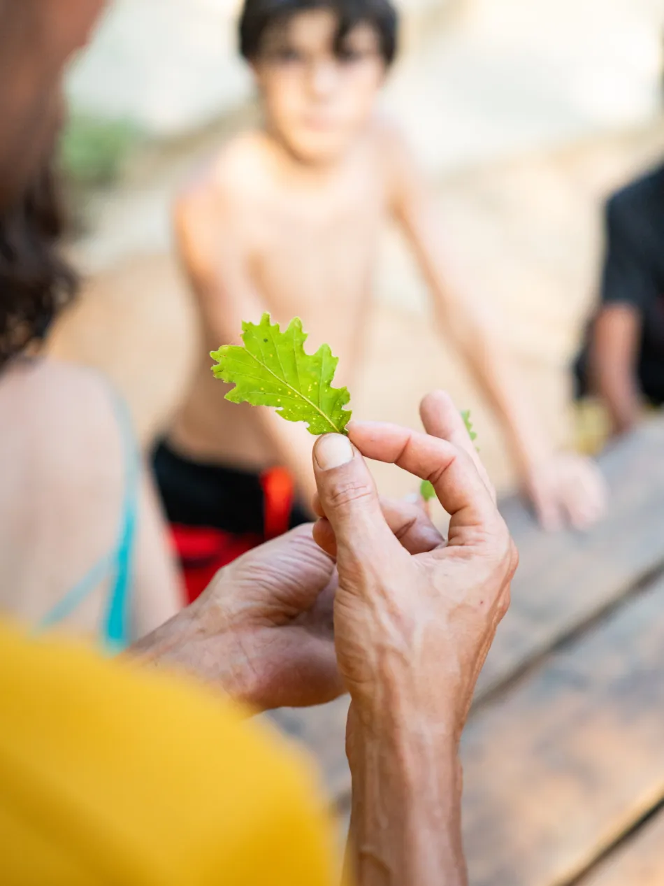 Camping Ushuaïa Villages la Colombière