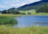 Foto #18 van Camping La Marjorie