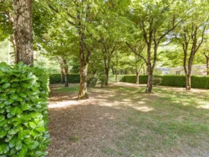 Emplacement - Standplaats ** -  80 m² - elektriciteit 10A - YELLOH! VILLAGE - LA PLAINE