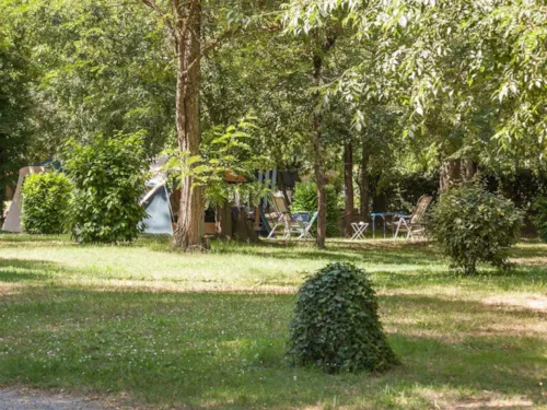 Emplacement - Emplacement ** -  80 M² - Électricité 10A - image n°4 - YELLOH! VILLAGE - LA PLAINE