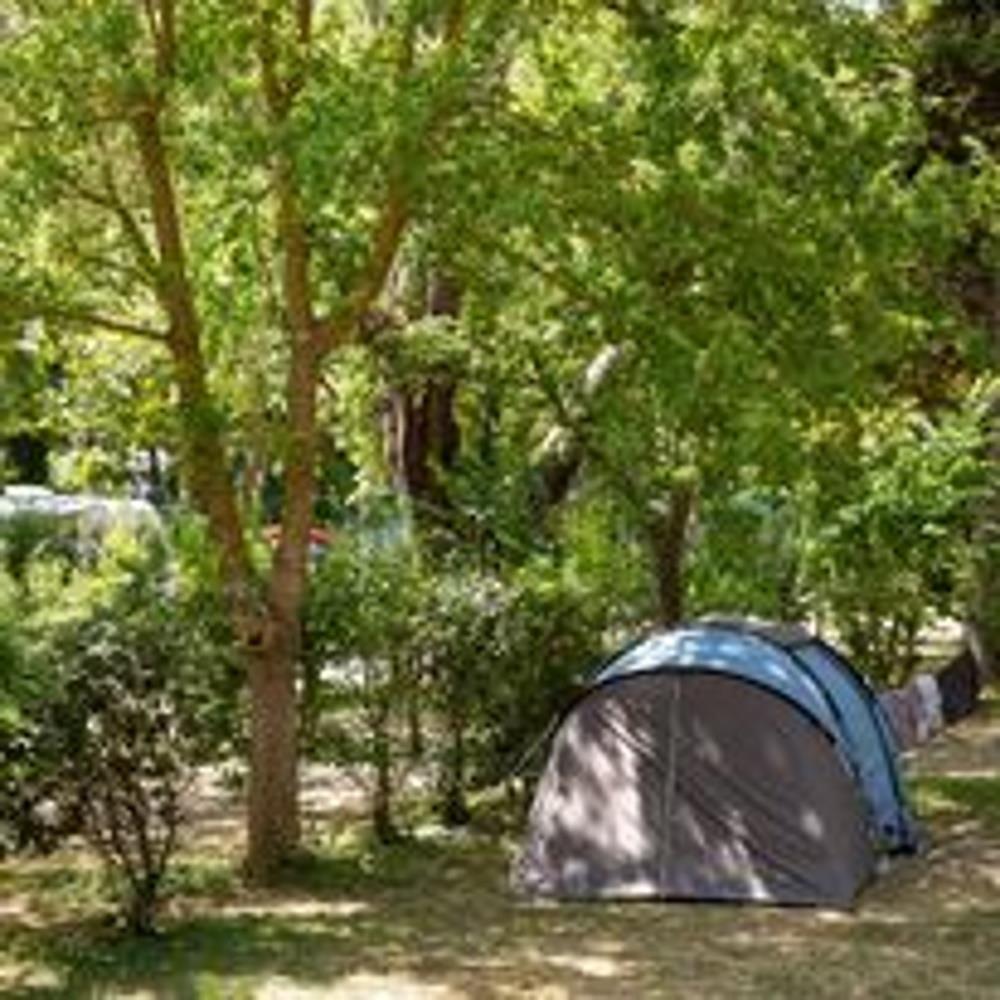 Emplacement - Forfait Randonneur À Pied Ou À Vélo Avec Tente - Camping du Pont d'Avignon