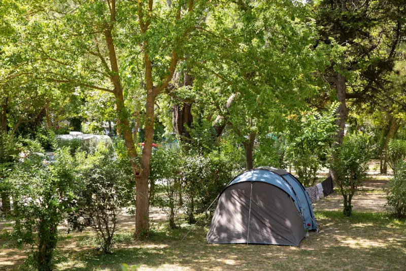 Forfait Confort, Avec Électricité