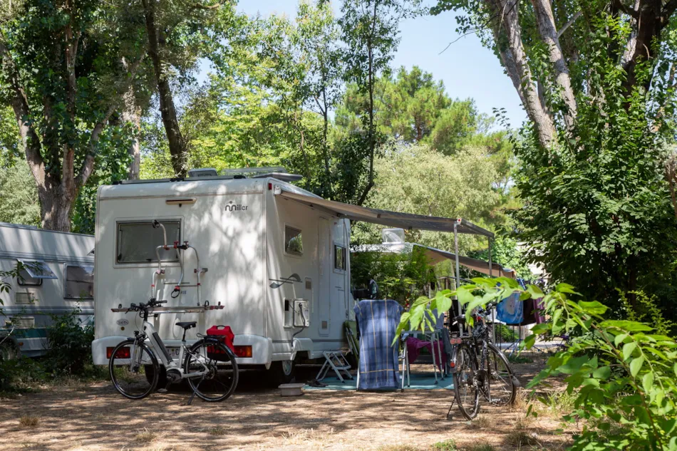 Camping du Pont d'Avignon