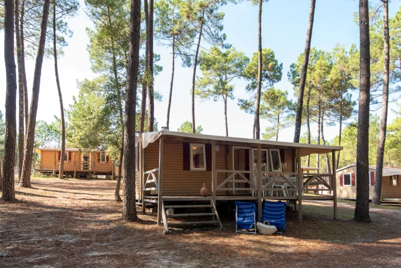 Cottage Faro Standard / D