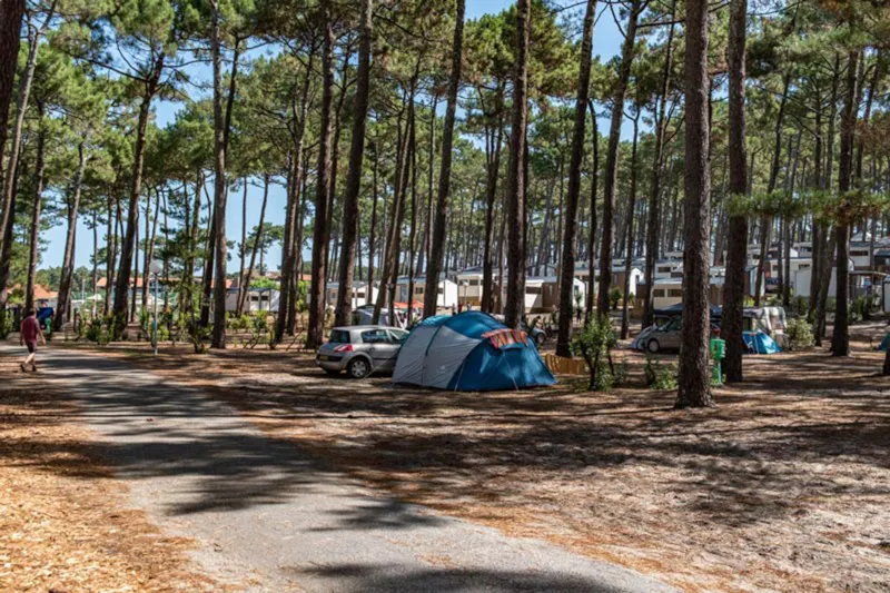 Emplacement Avec Électricité / D