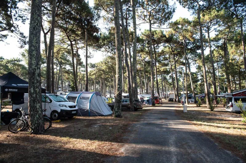 Emplacement Avec Électricité / D