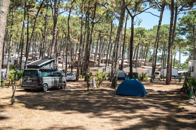 Emplacement Avec Électricité / D