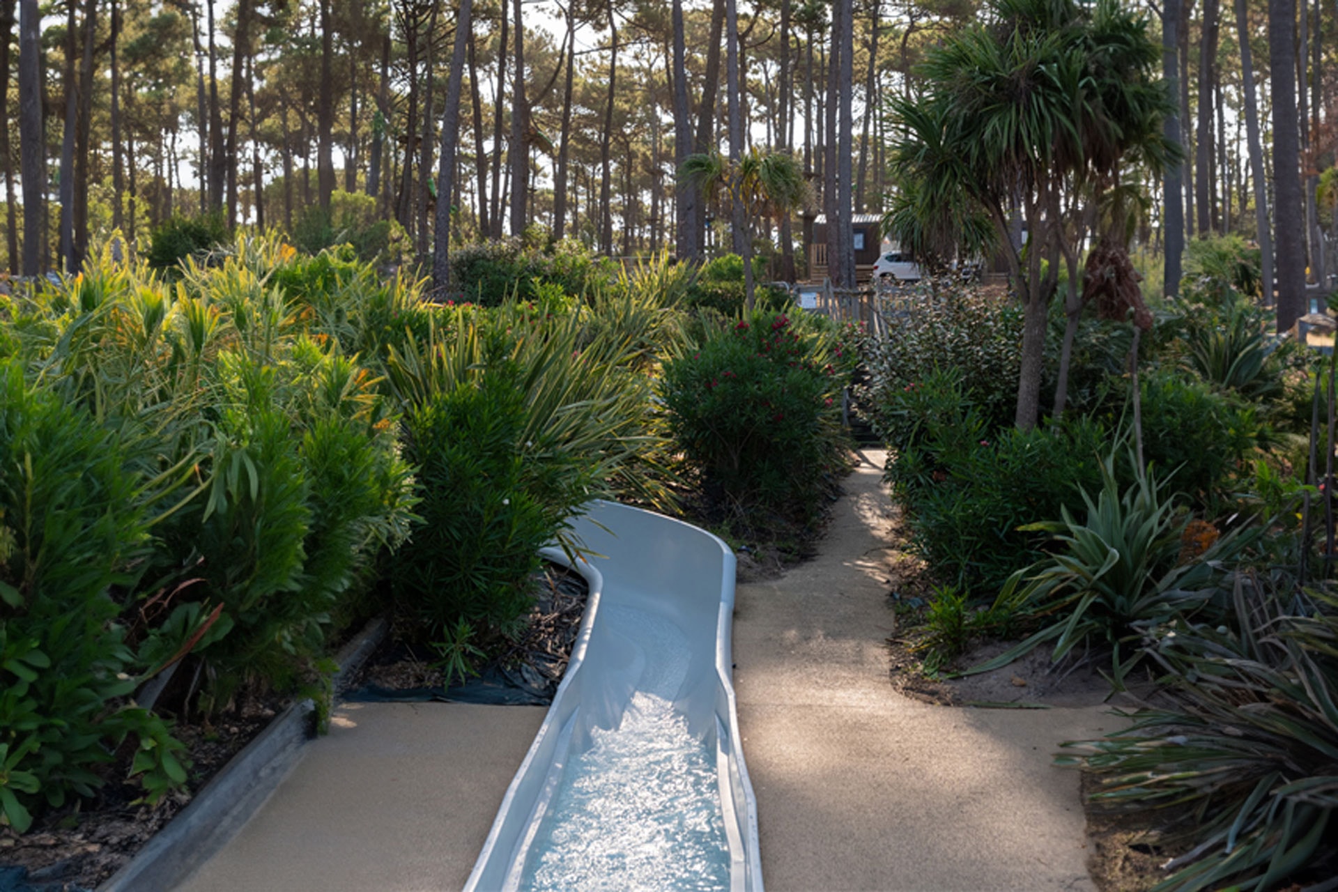 Camping Club Plage Sud - MS Vacances — Photo 3