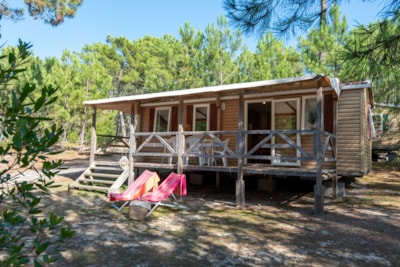 Cottage Titania CLASSIC / D — 7
