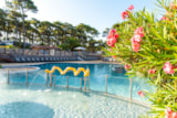 Foto #11 van Camping Club Plage Sud – MS Vacances