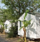 Cottage **** 3 Chambres Climatisé Cottage **** 3 Chambres Climatisé
