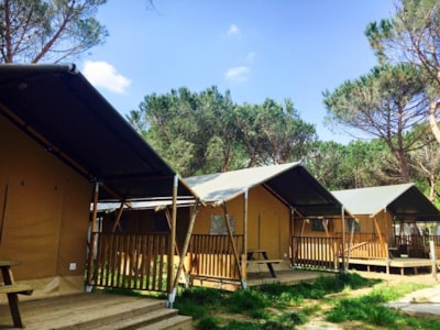 Safari Lodge tents — 3
