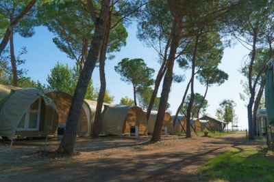 Coco Tents without toilet blocks — 3