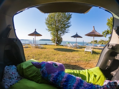 Pitch tent — 6