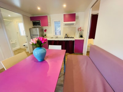 Mobile-home Super Deluxe for people with reduced mobility — 5