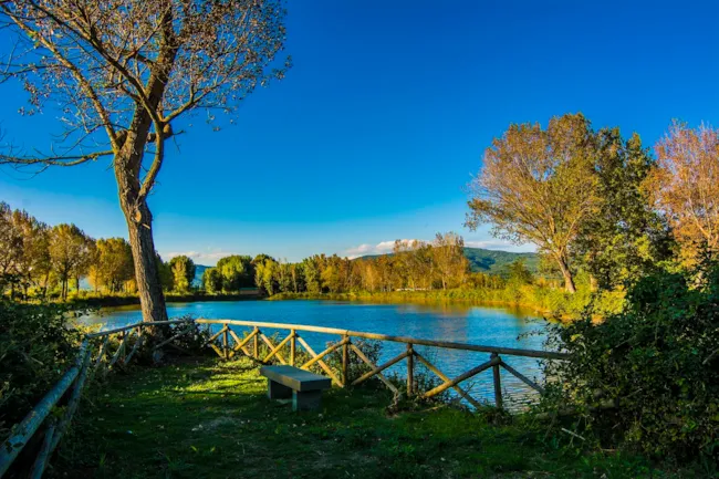 Camping Village Punta Navaccia - image n°4 - Camping Direct