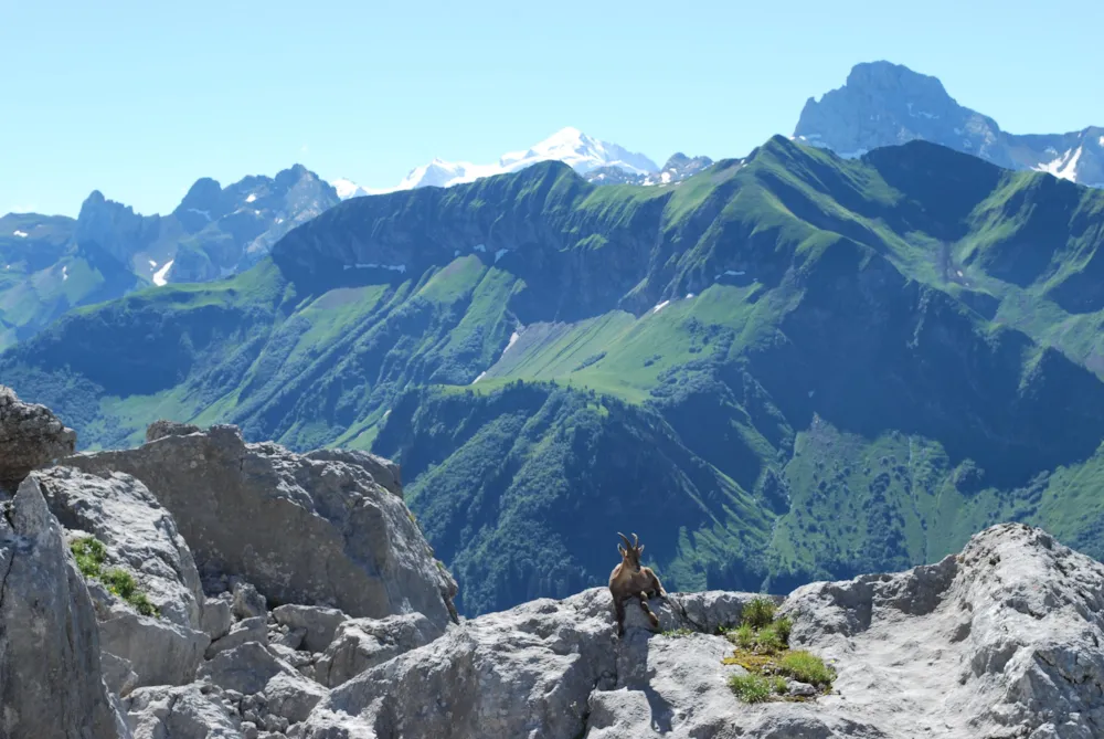 L'Escale Village