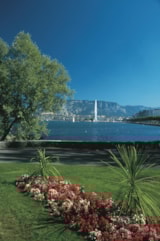 Foto #62 van L’Escale Village