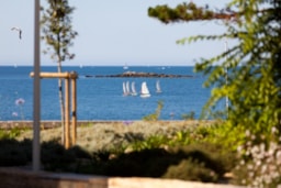 Région Camping Les Saules - La Forêt-Fouesnant