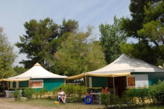  Campéole Les Mûriers VENDRES-PLAGE Languedoc-Roussillon France