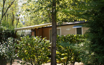 Cottage Tradition - 2 bedrooms (Saturday) - 4 adults max — 4