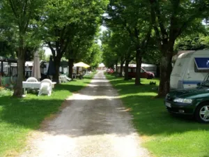  - Package: Campsite / 1 car / tent, trailer, or RV with 10A electricity - Camping les Charmilles