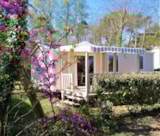 Mobil-Home Grand Confort Tv (>30 M² - <9 Ans) 2 Camere Da Letto Mobil-Home Grand Confort Tv (>30 M² - <9 Ans) 2 Camere Da Letto