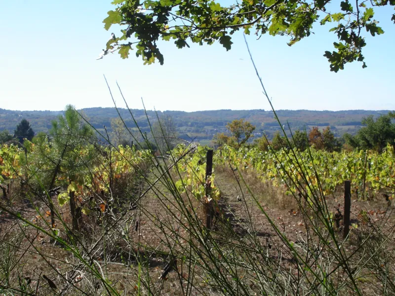 Forfait 2 Pers Emplacement Nu + 1 Vehicule Sans Electricité
