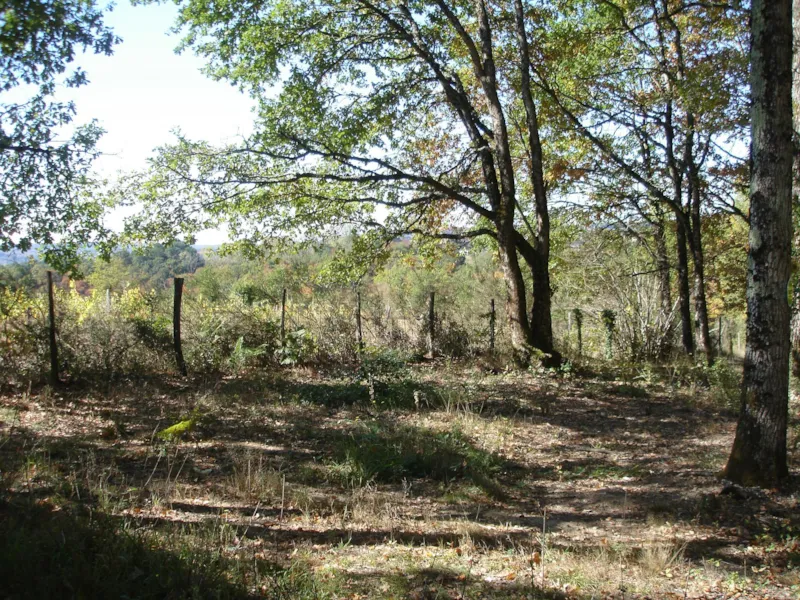 Forfait 2 Pers Emplacement Nu + 1 Vehicule Sans Electricité