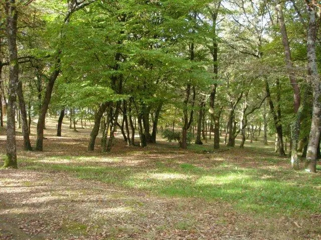 Forfait 2 Pers   Emplacement  Avec Gravier + 1 Véhicule  Avec Electricité