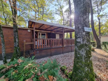 Mietunterkunft - Résidence Quiètude 35 M2, Überdachte Terrasse, Geschirrspüler + Fernseher - Camping LA GARENNE
